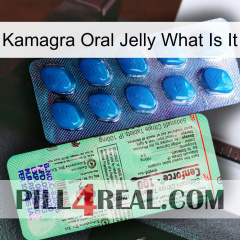 Kamagra Oral Jelly What Is It new02